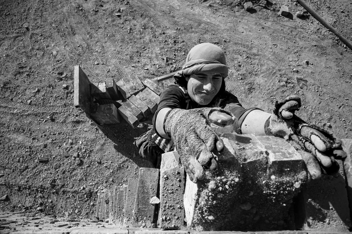 <p>&copy; Morteza Pahang</p>