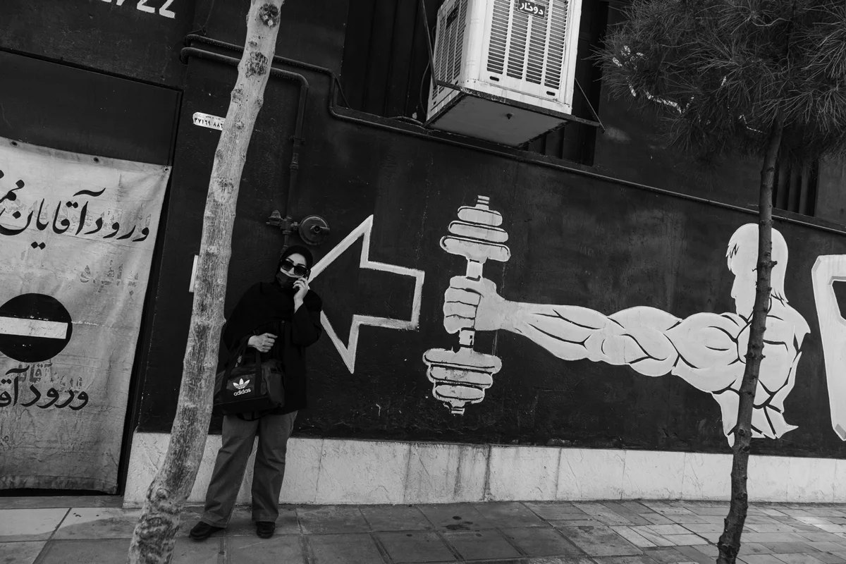 <p>&copy; Morteza Pahang</p>