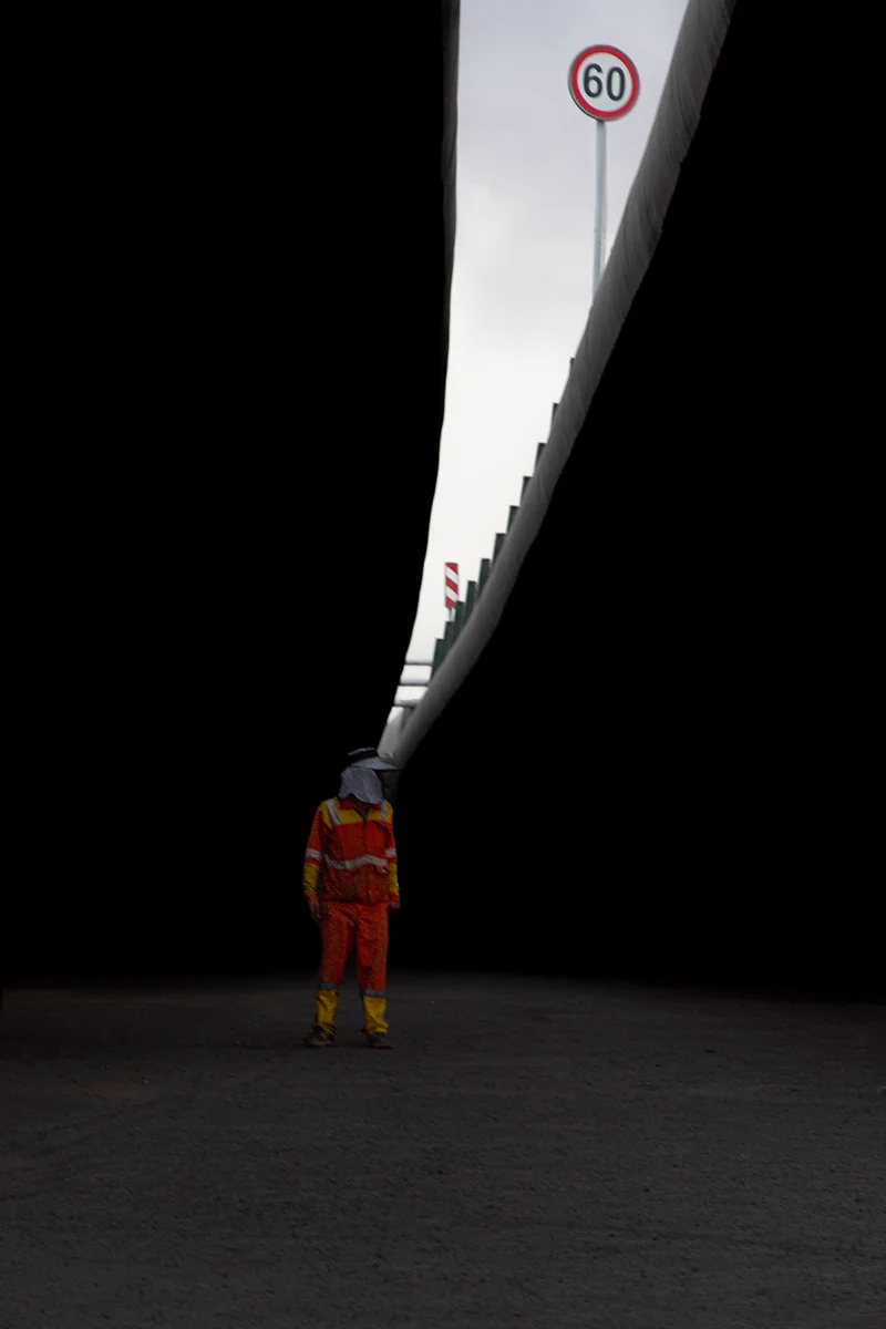 <p>&copy; Morteza Pahang</p>