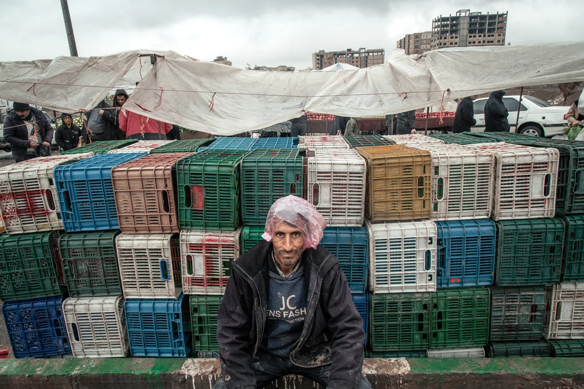 <p>&copy; Morteza Pahang</p>