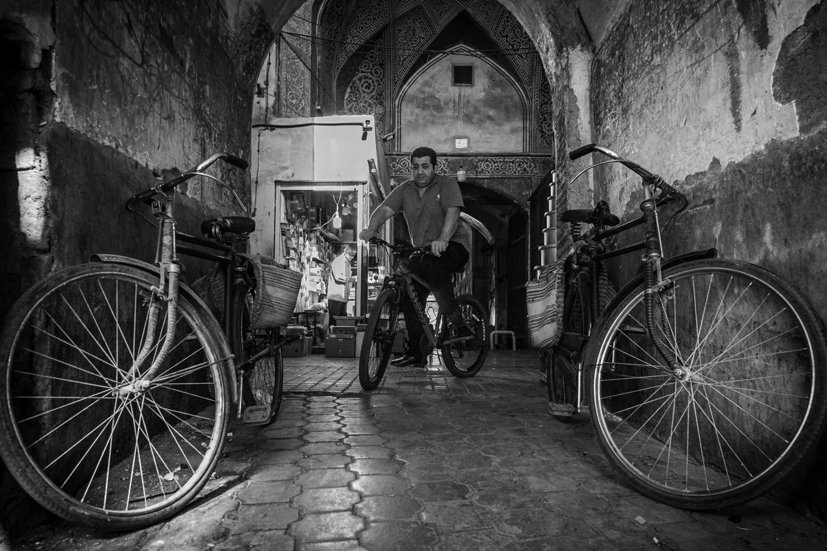 <p>&copy; Morteza Pahang</p>