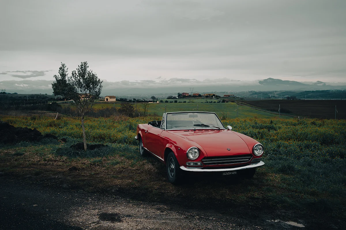 <p>&copy; Neri Panegrossi</p>