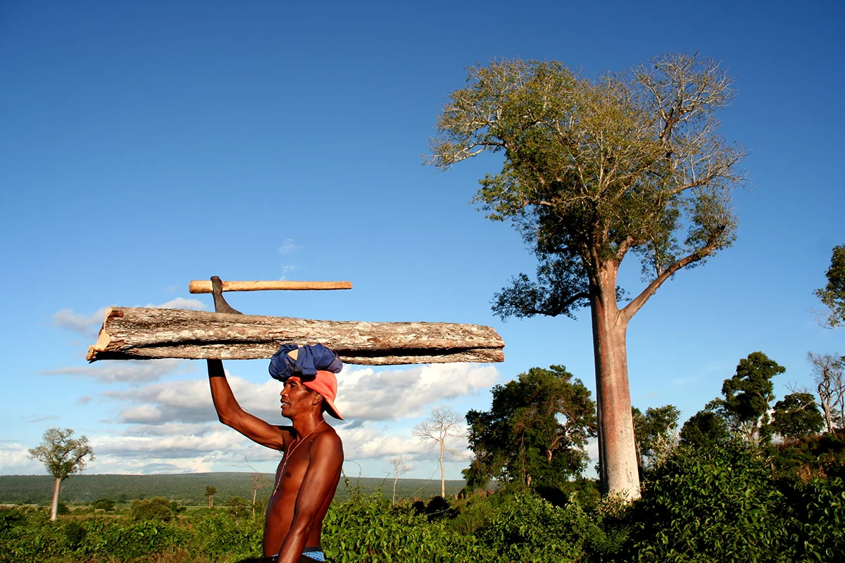 <p>&copy; Rémy Pinaton</p>