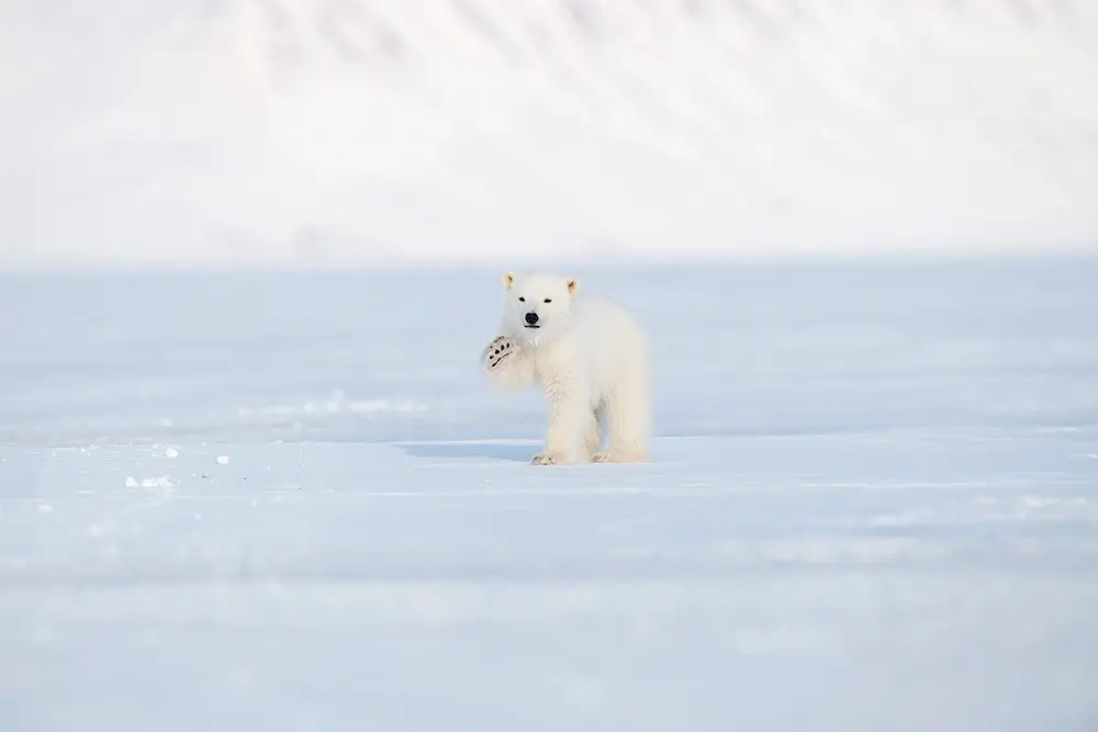 Hallo<p>&copy; Roberta Pagano</p>