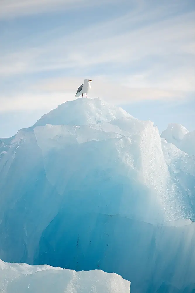 On top<p>&copy; Roberta Pagano</p>