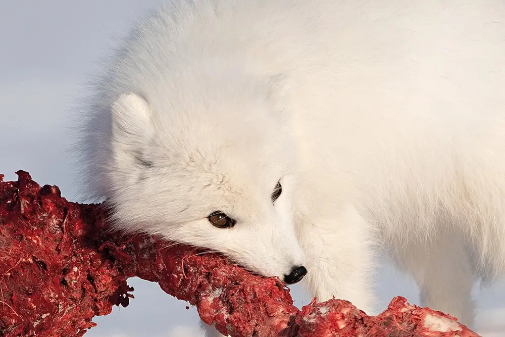 The catch<p>&copy; Roberta Pagano</p>