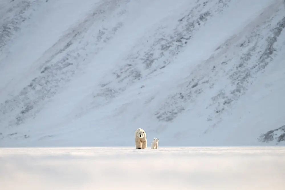 Walking the immensity<p>&copy; Roberta Pagano</p>