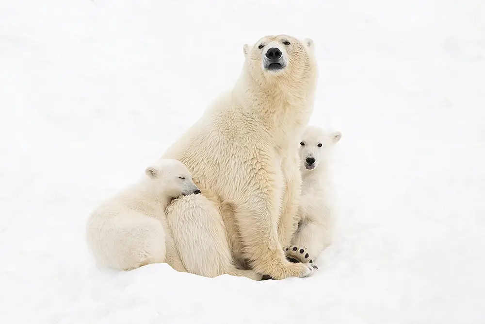 Family portrait<p>&copy; Roberta Pagano</p>