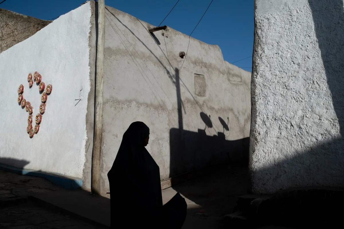 <p>&copy; Sebastian Piatek</p>