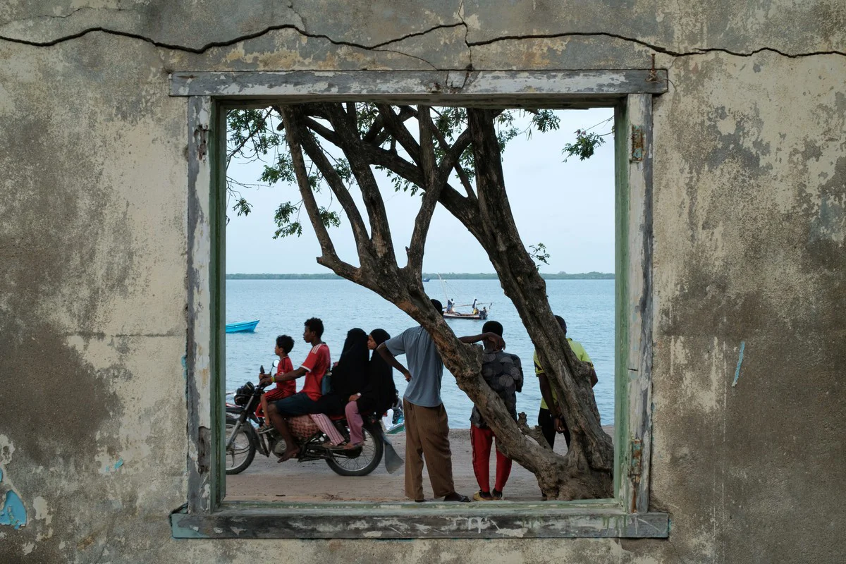 <p>&copy; Sebastian Piatek</p>