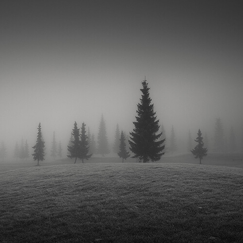 <p>© Vesa Pihanurmi</p>