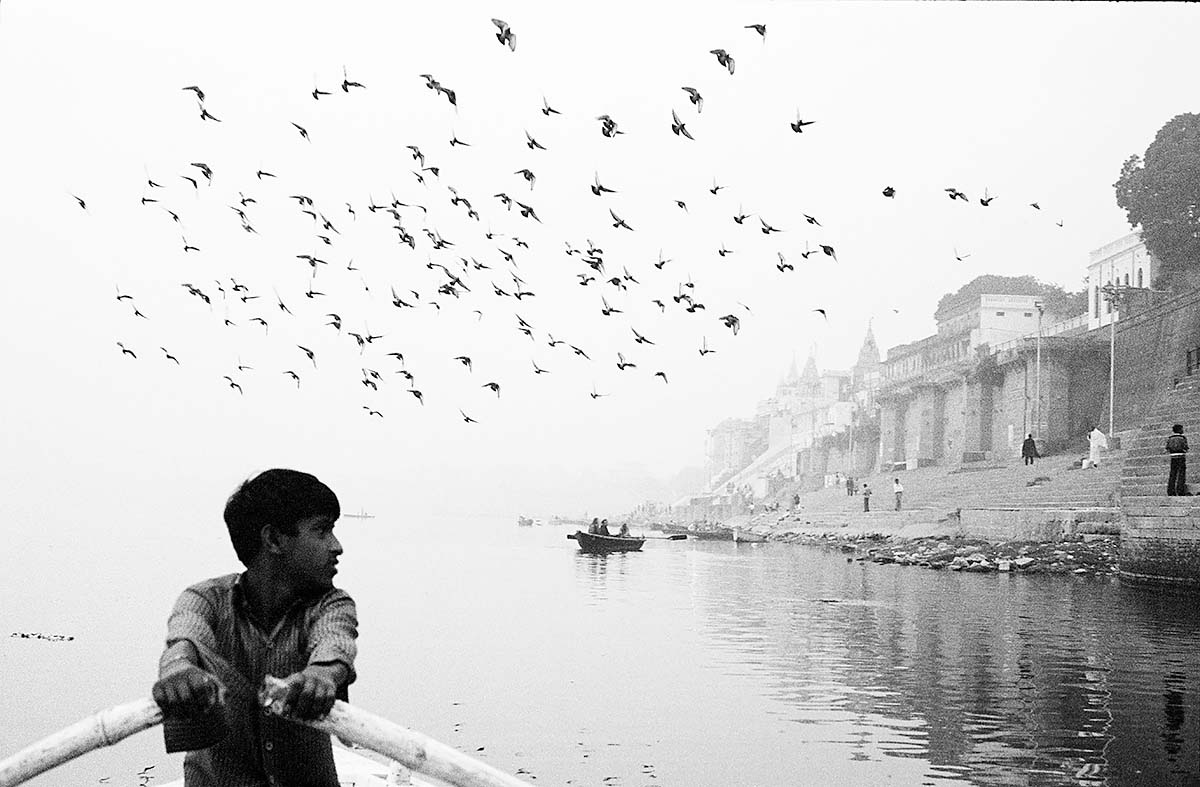 Animesh Ray