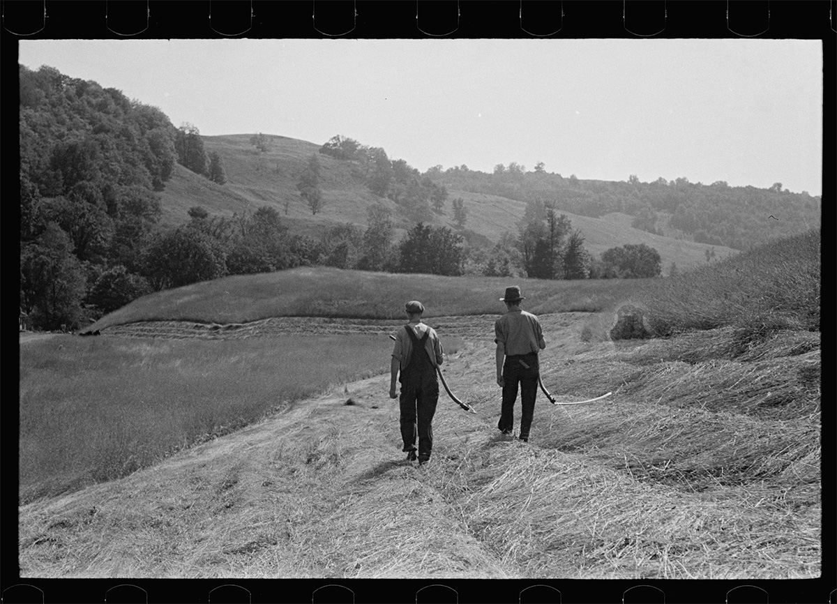 Cutting hay, Windsor County, Vermont, by Arthur Rothstein, United States Resettlement Administration, Sept. 1937 - Library of Congress<p>© Arthur Rothstein</p>
