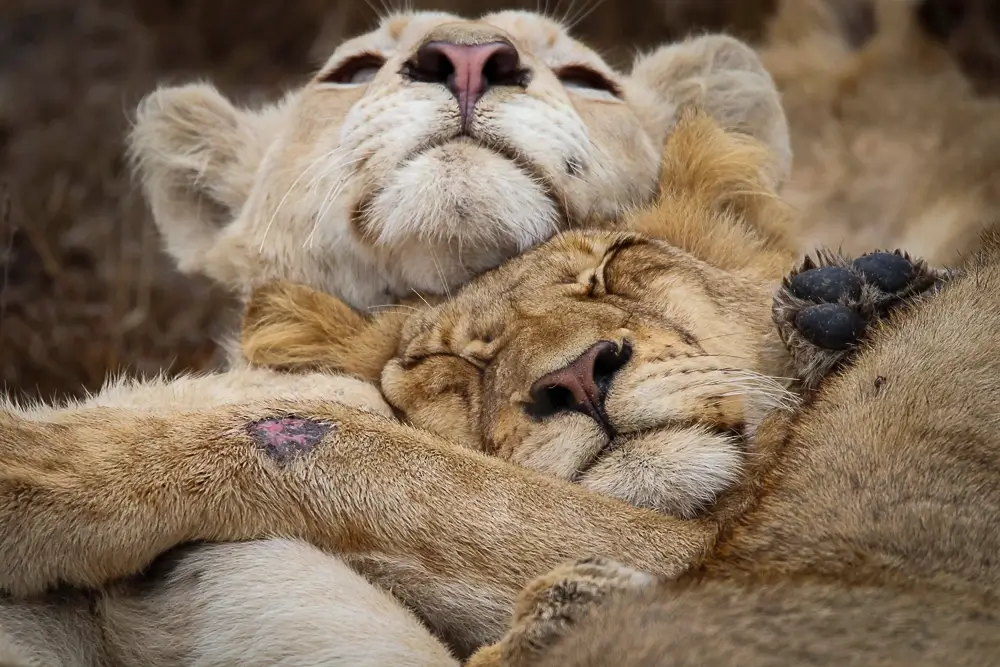 What Difference<p>&copy; Benoît Rondelet</p>