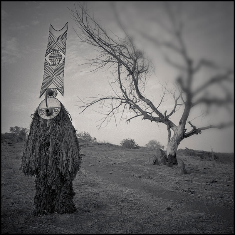 Plank Mask, Bwa region, Burkina Faso, West Africa<p>© Chris Rainier</p>