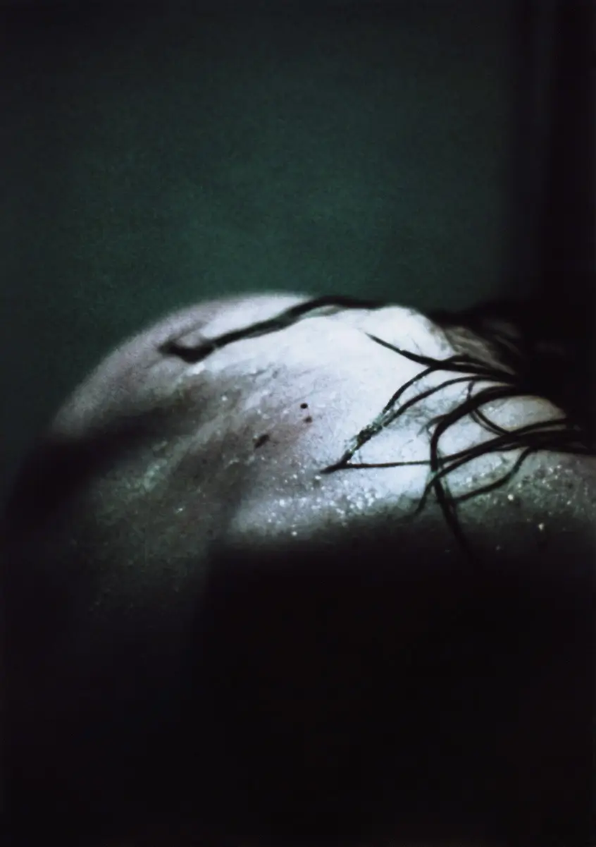 Emesis 2<p>© F. Bessma Rhea</p>