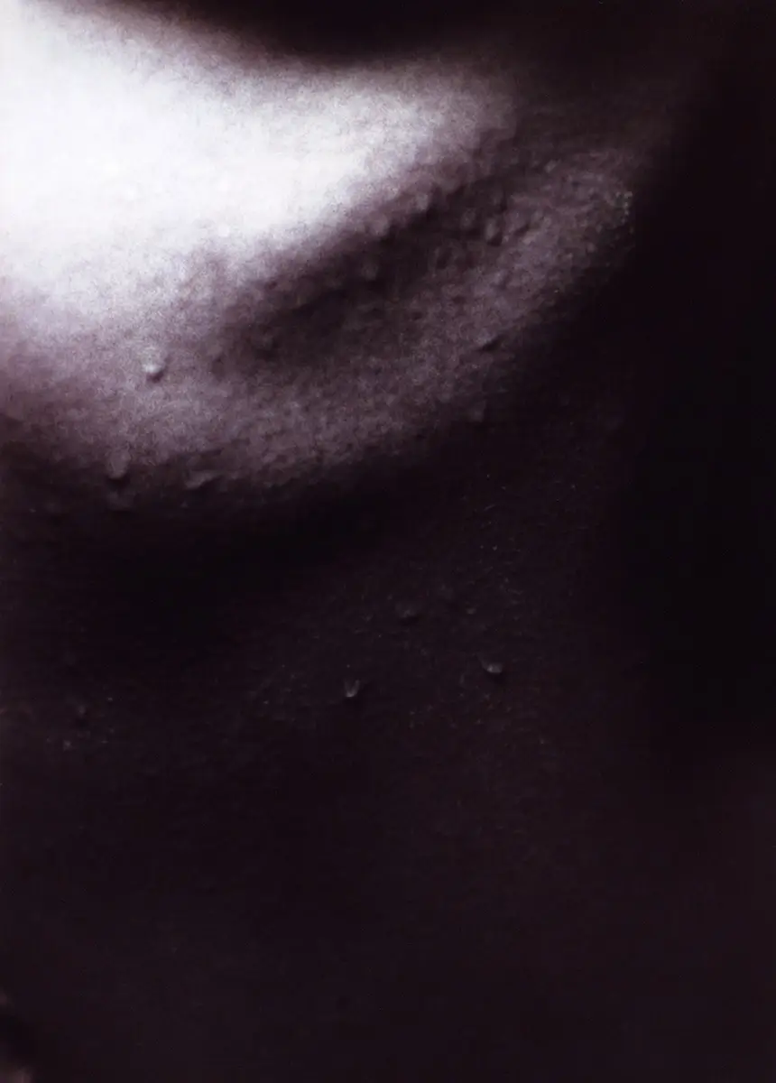 Emesis 3<p>© F. Bessma Rhea</p>