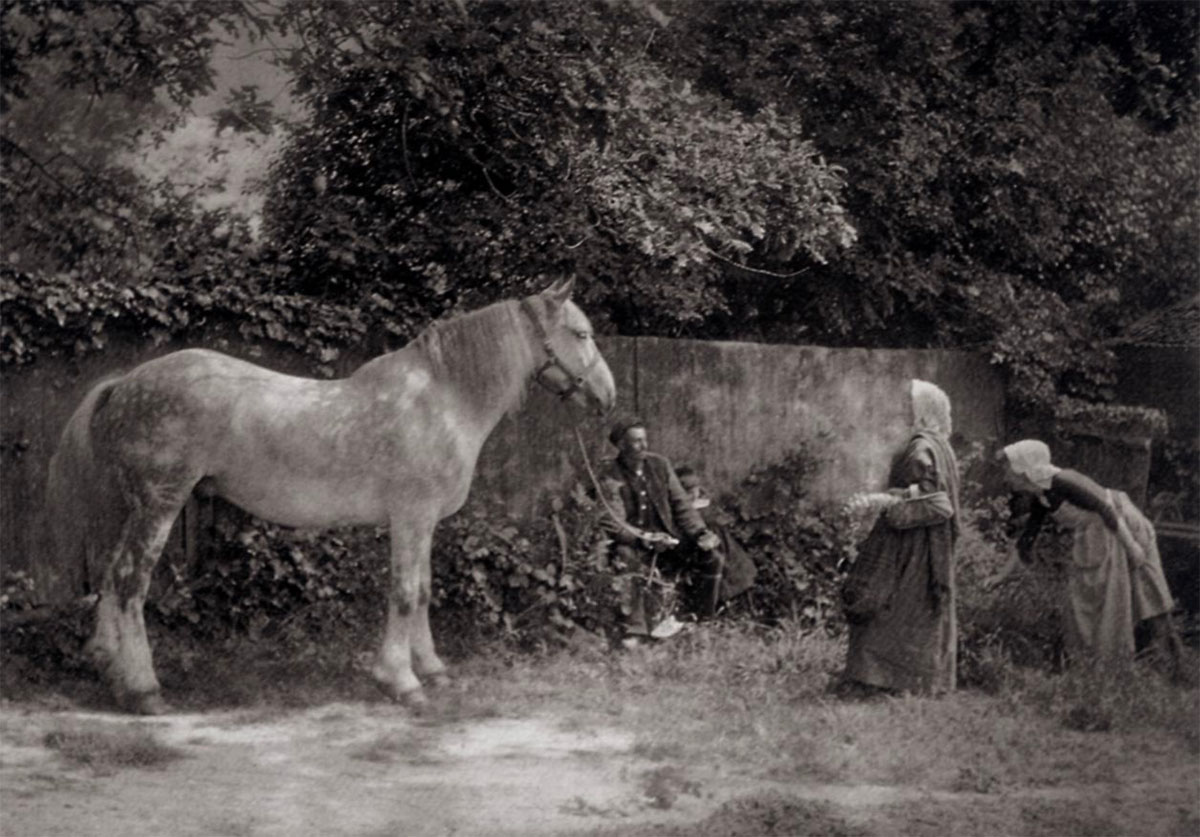 Alter Schimmel, 1899 - National Museum of Photography, Film and Television, The Kodak Collection<p>© Henry Peach Robinson</p>