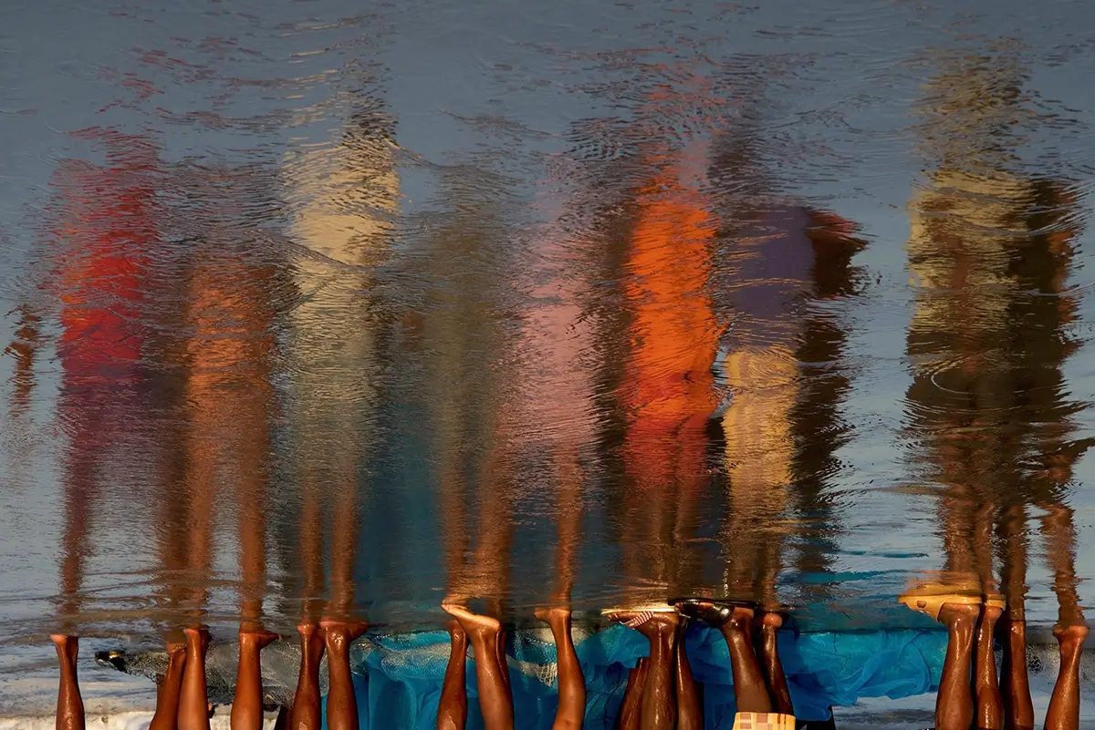 <p>&copy; Margo Ryan</p>