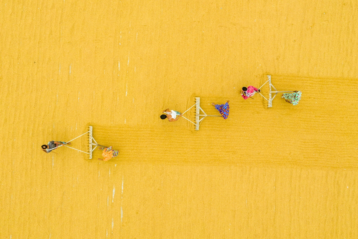 Rice Process<p>&copy; MD Tanveer Rohan</p>