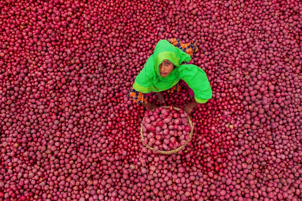 Curious Girl from Potato Yard<p>&copy; MD Tanveer Rohan</p>