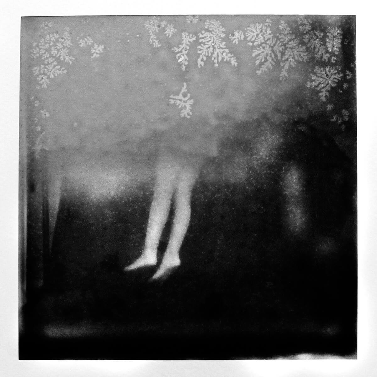 Pull Me Up<p>© Ricardo Reis</p>