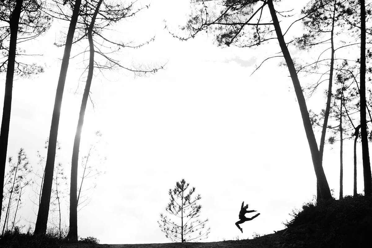 Beauty Everywhere<p>© Ricardo Reis</p>