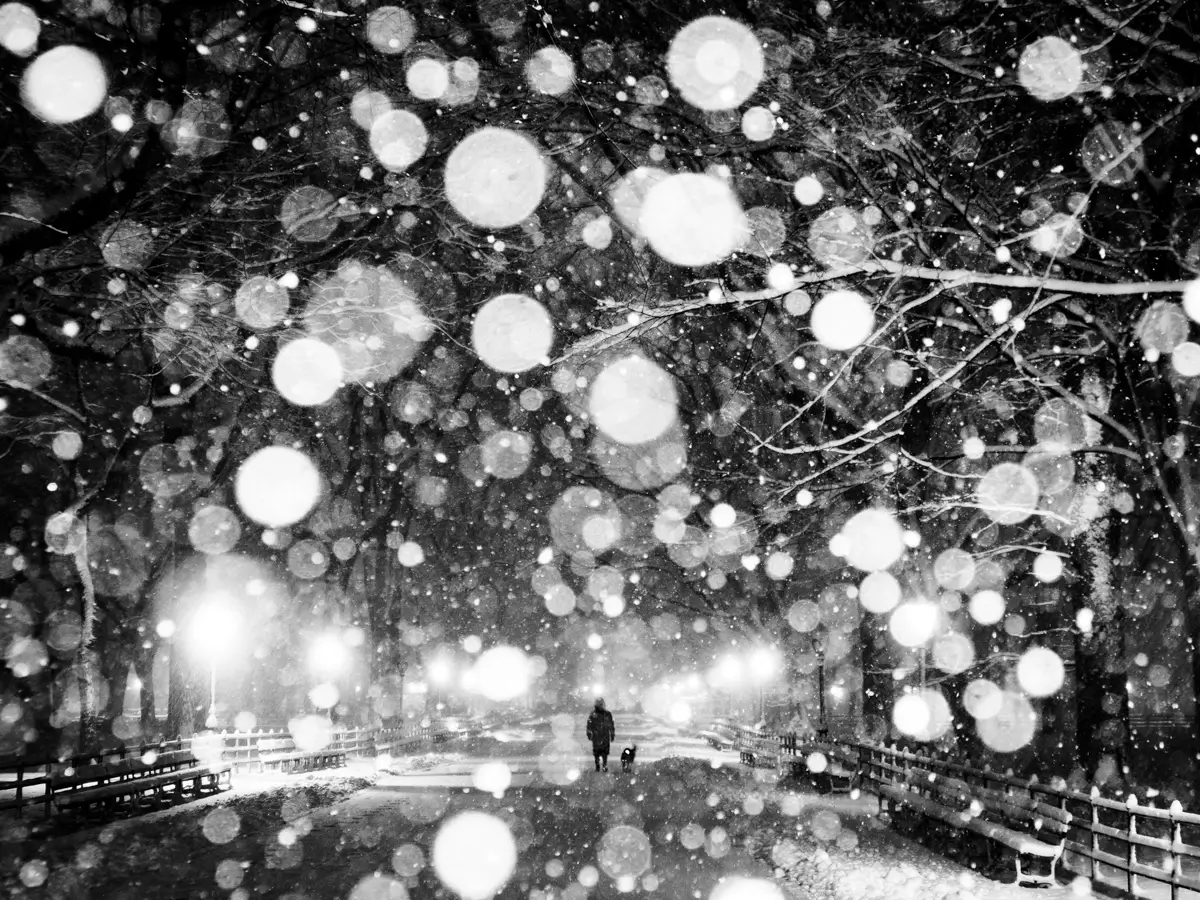<p>© Russ Rowland</p>