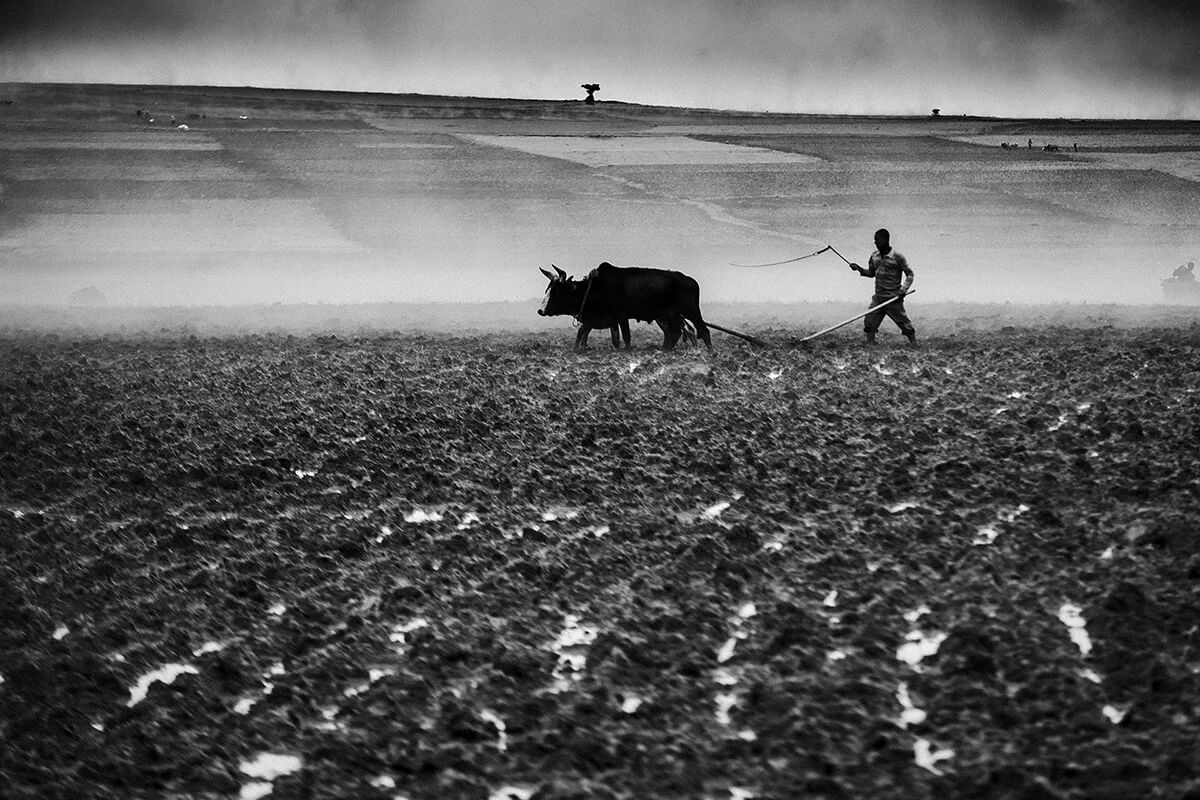 Ethiopia 2013<p>© Yago Ruiz</p>