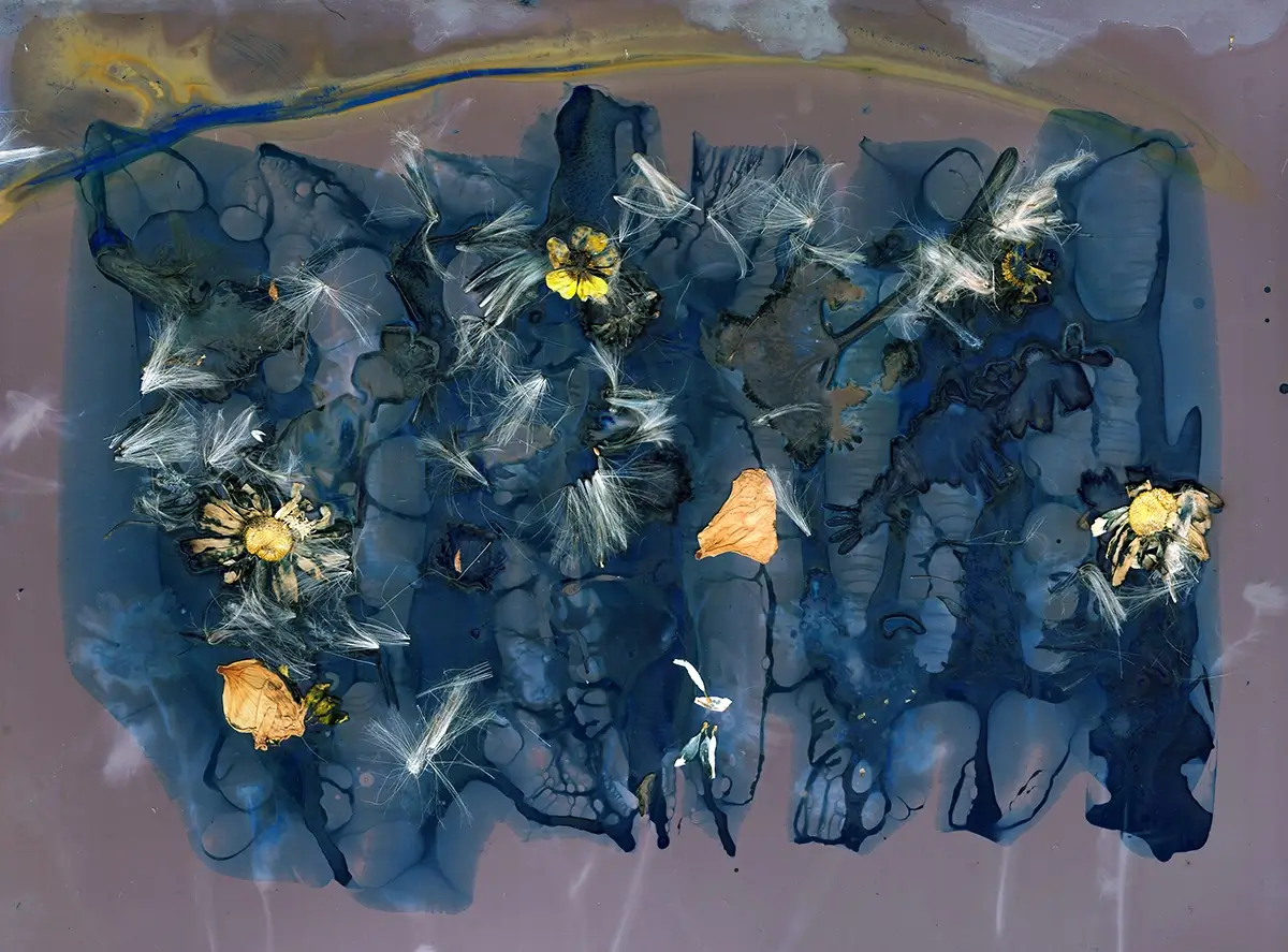 The Most Beautiful Anthropocene #62<p>&copy; Aindreas Scholz</p>