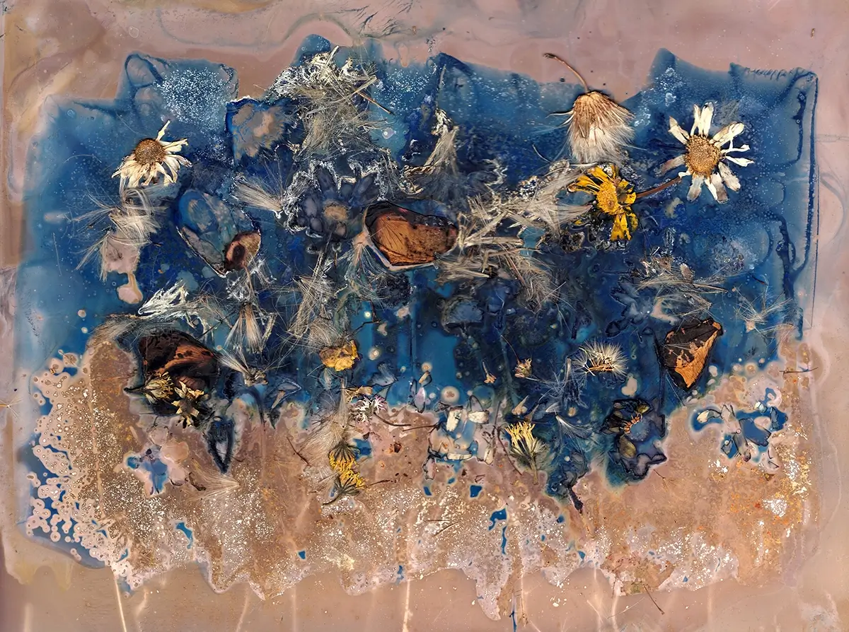 The Most Beautiful Anthropocene #63<p>&copy; Aindreas Scholz</p>