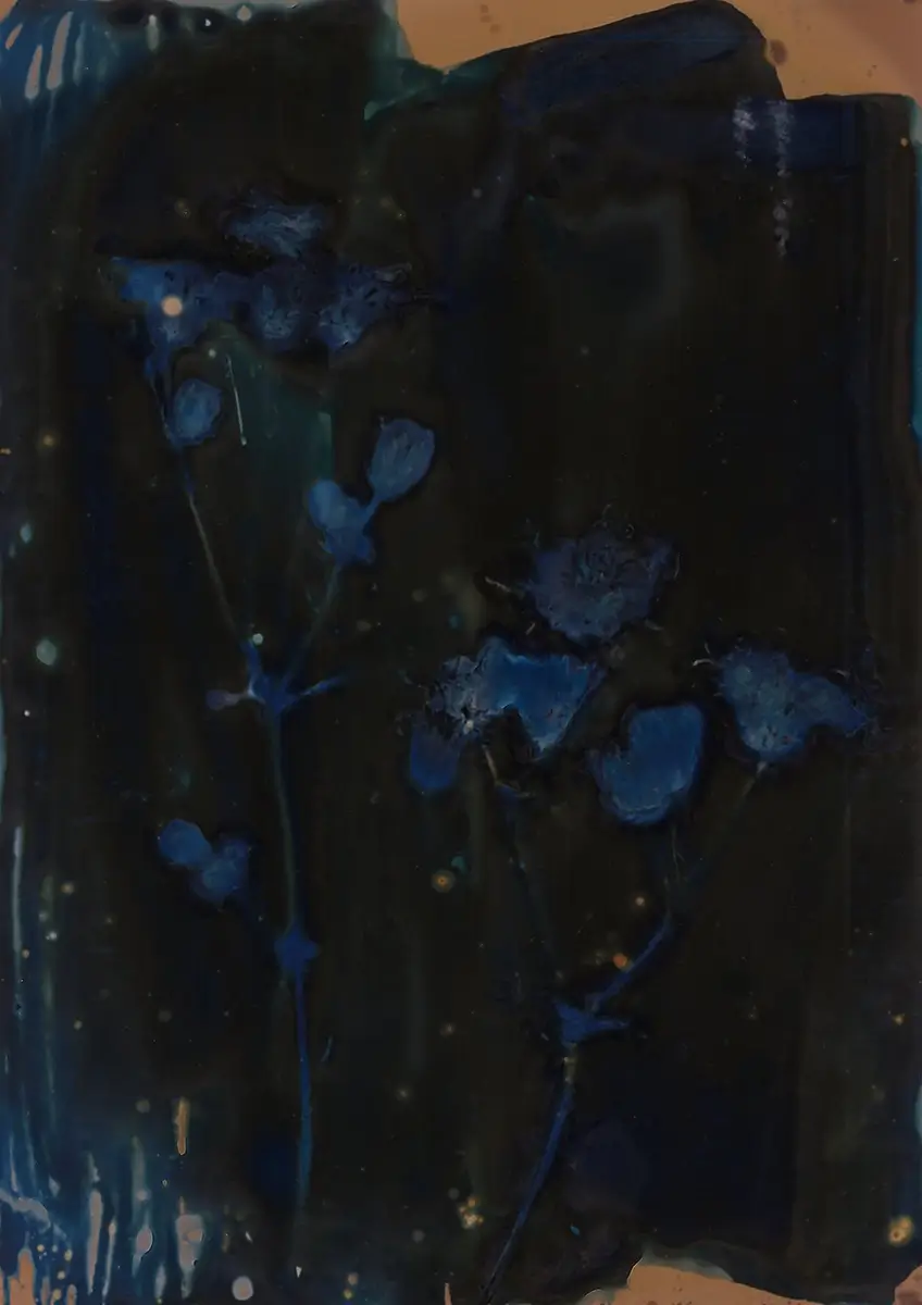 The Most Beautiful Anthropocene #69<p>&copy; Aindreas Scholz</p>