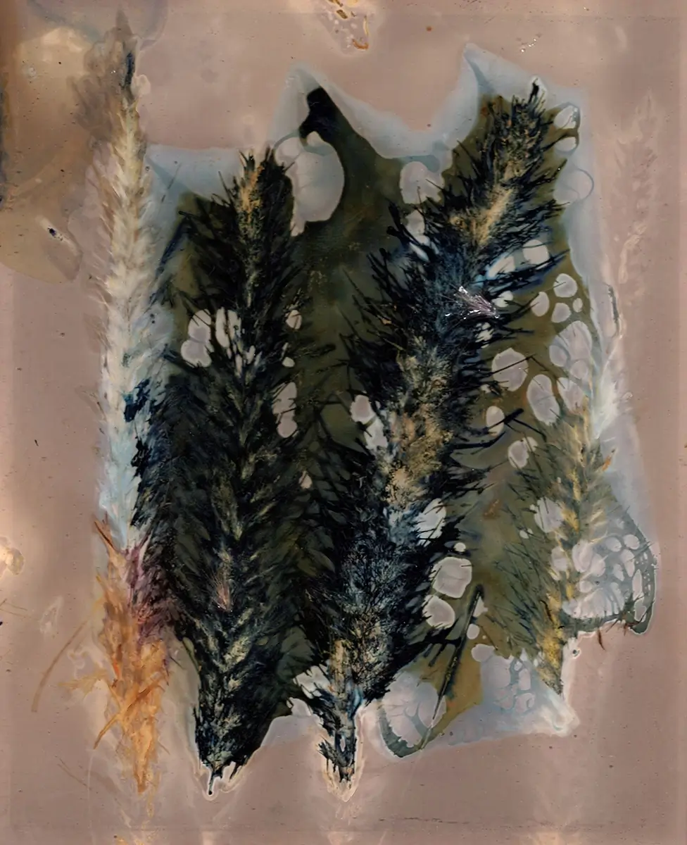 The Most Beautiful Anthropocene #71<p>&copy; Aindreas Scholz</p>