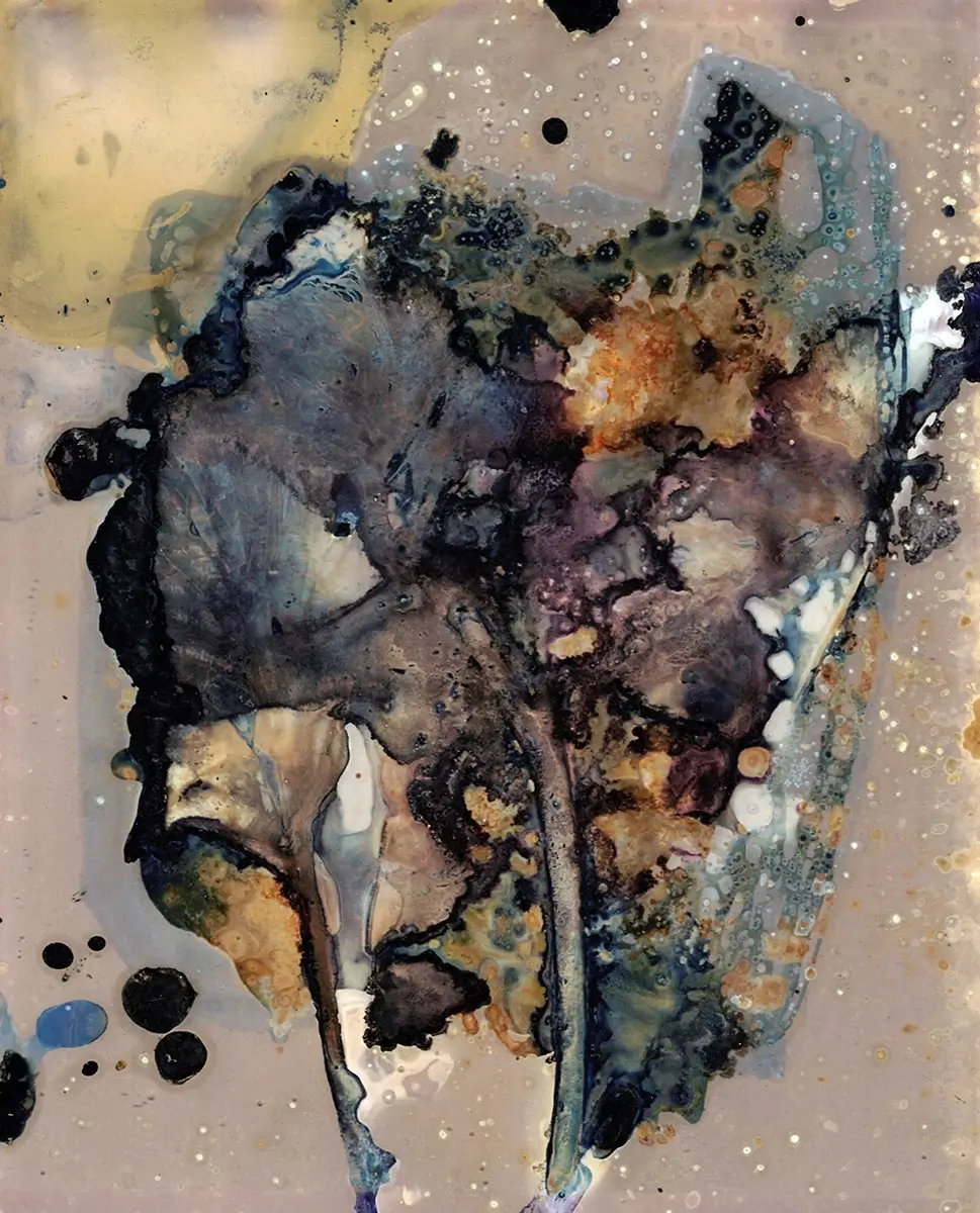 The Most Beautiful Anthropocene #72<p>&copy; Aindreas Scholz</p>