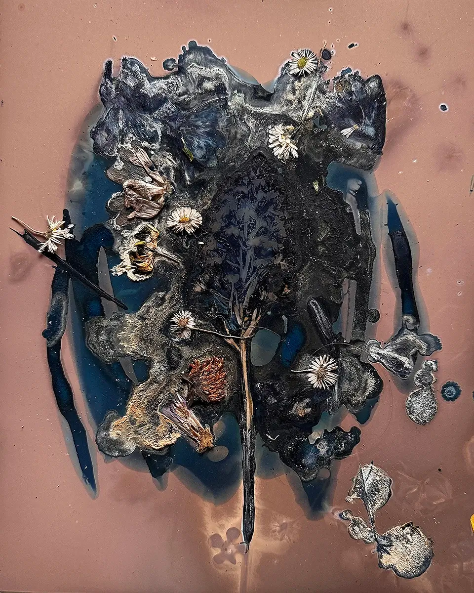 The Most Beautiful Anthropocene #55<p>&copy; Aindreas Scholz</p>