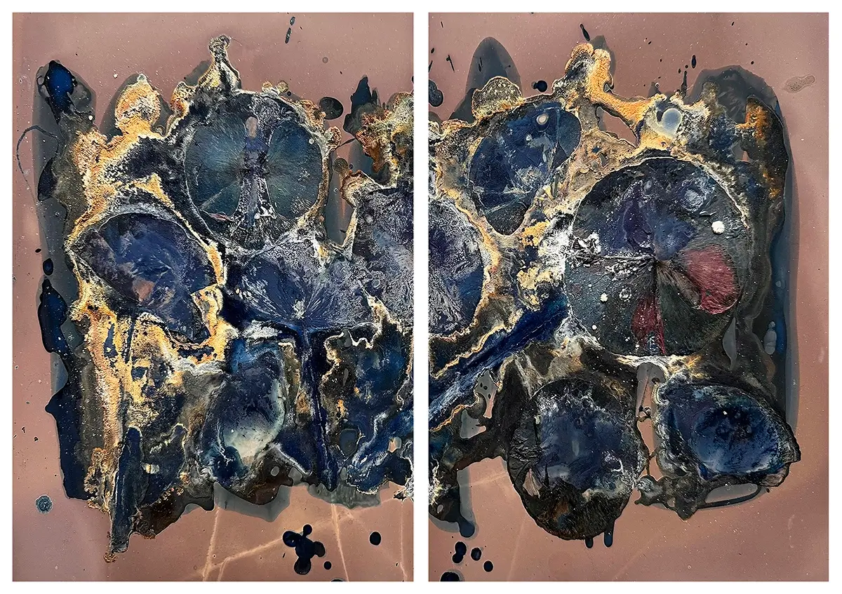 The Most Beautiful Anthropocene #57<p>&copy; Aindreas Scholz</p>