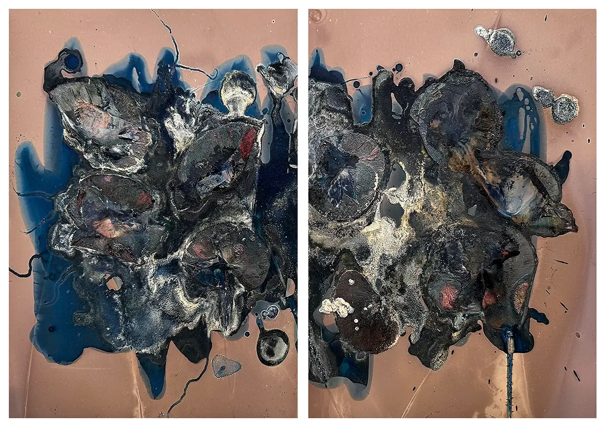 The Most Beautiful Anthropocene #58<p>&copy; Aindreas Scholz</p>