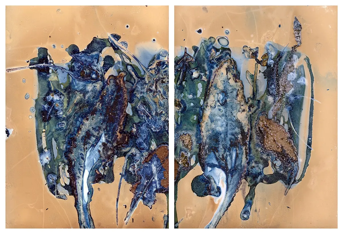 The Most Beautiful Anthropocene #60<p>&copy; Aindreas Scholz</p>