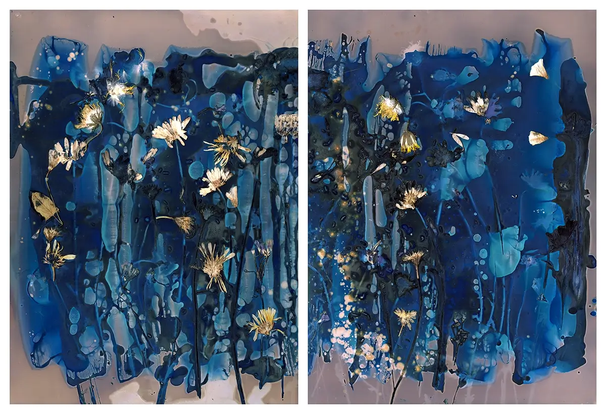 The Most Beautiful Anthropocene #61<p>&copy; Aindreas Scholz</p>