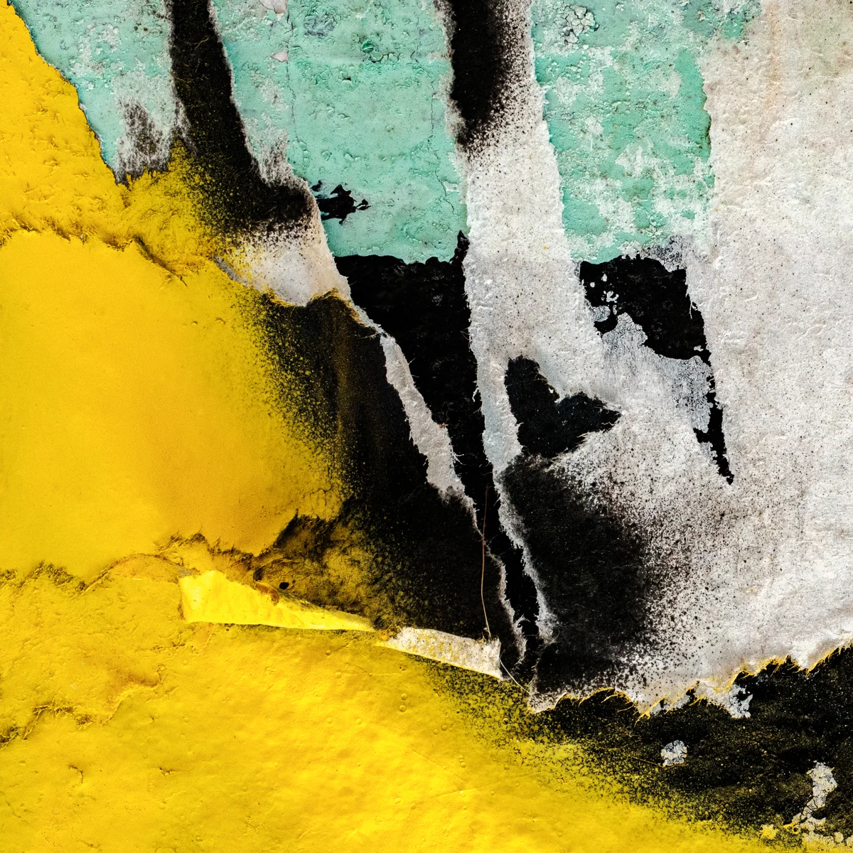 <p>© Alexandra Schmid</p>