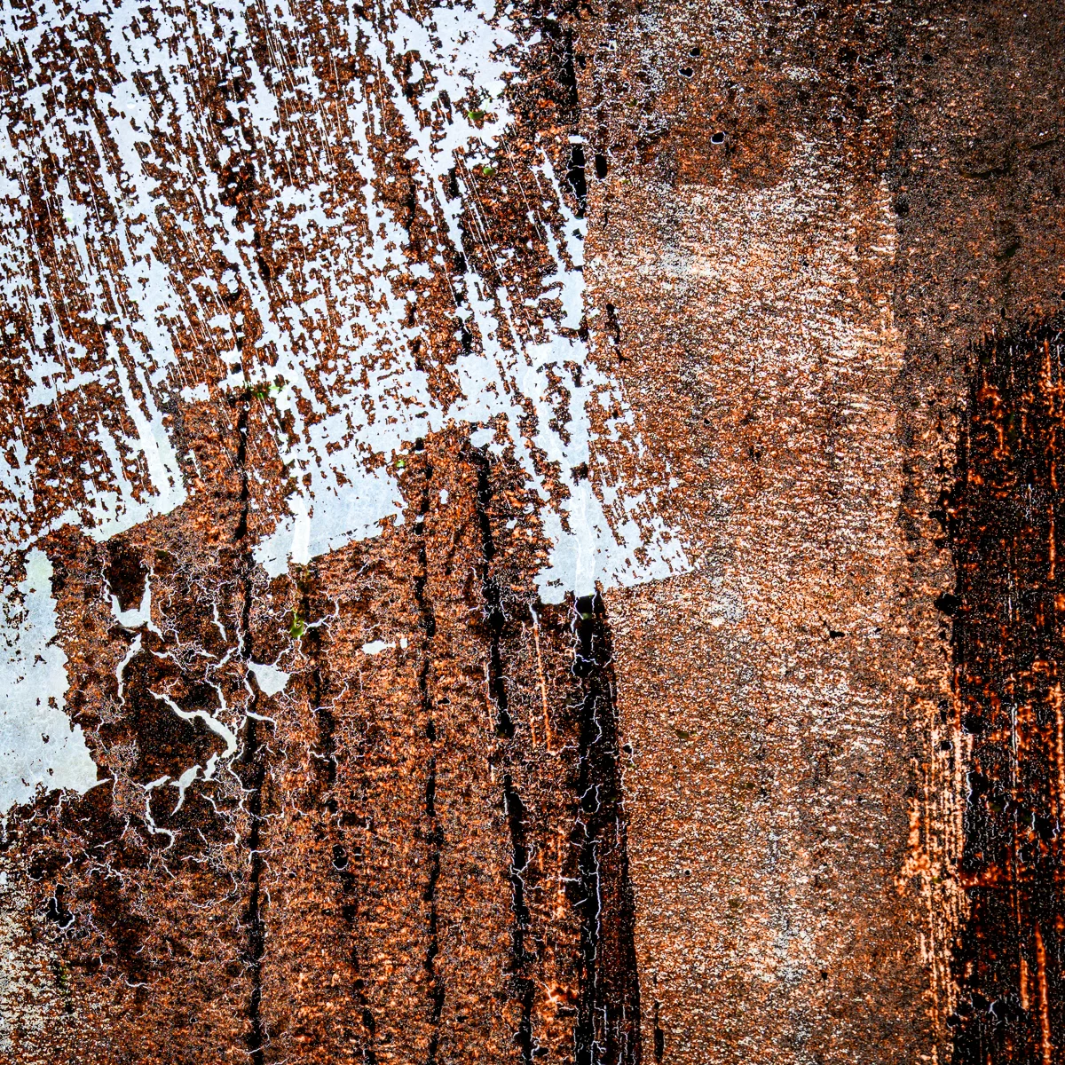 <p>© Alexandra Schmid</p>