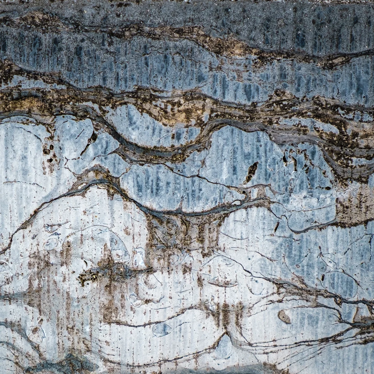 <p>© Alexandra Schmid</p>