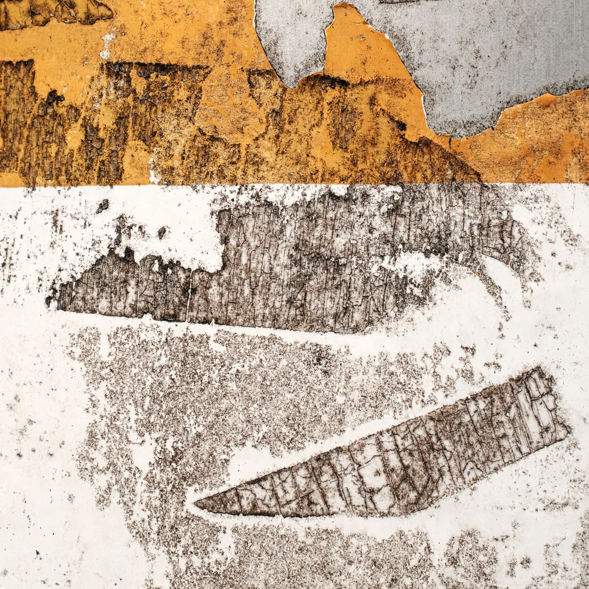 <p>© Alexandra Schmid</p>