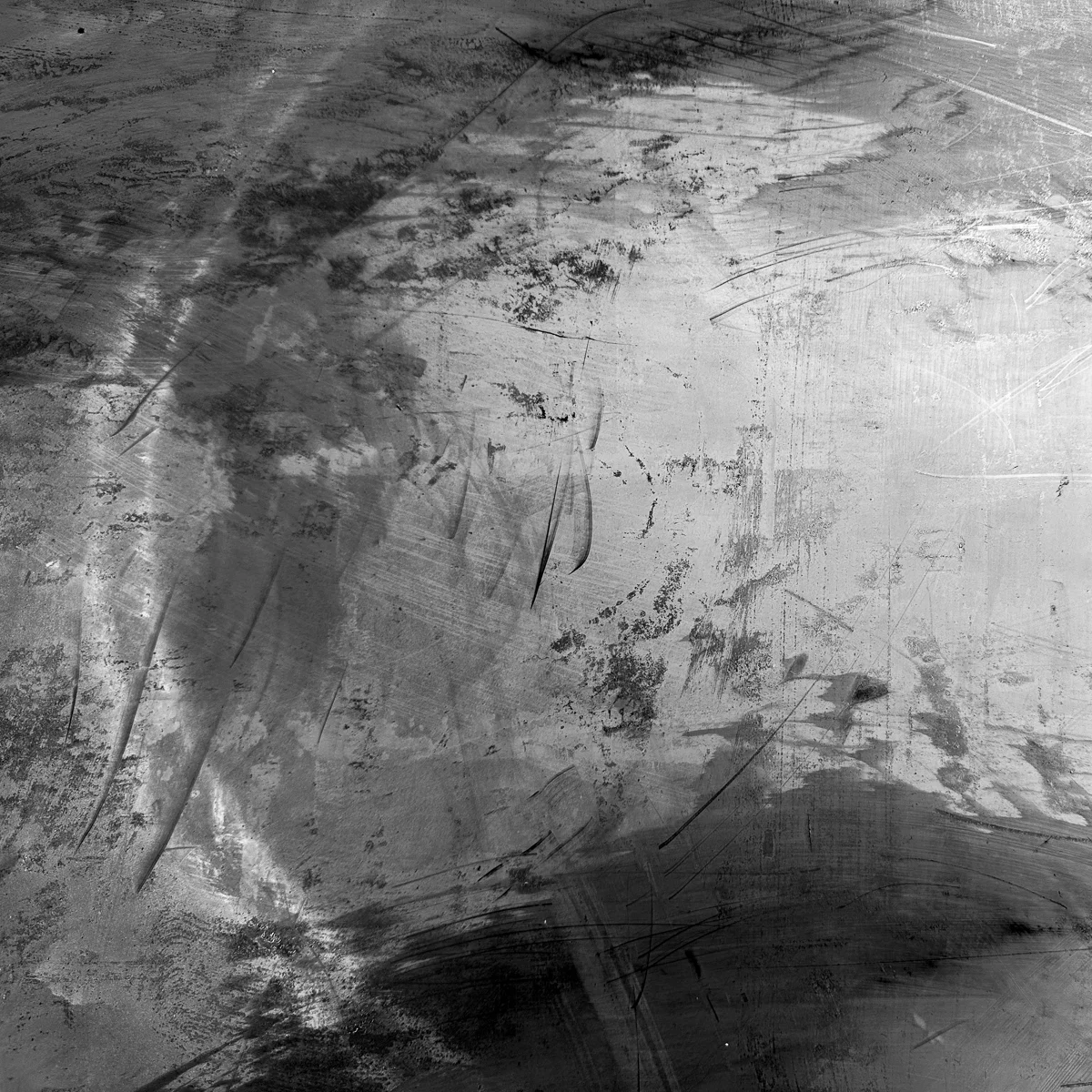 <p>© Alexandra Schmid</p>