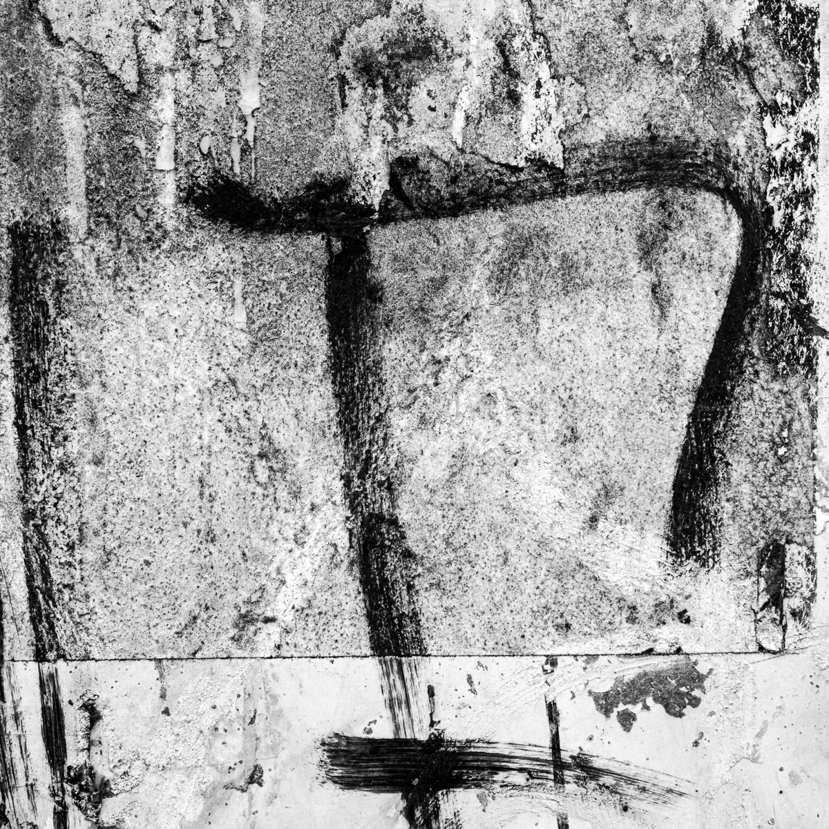 <p>© Alexandra Schmid</p>