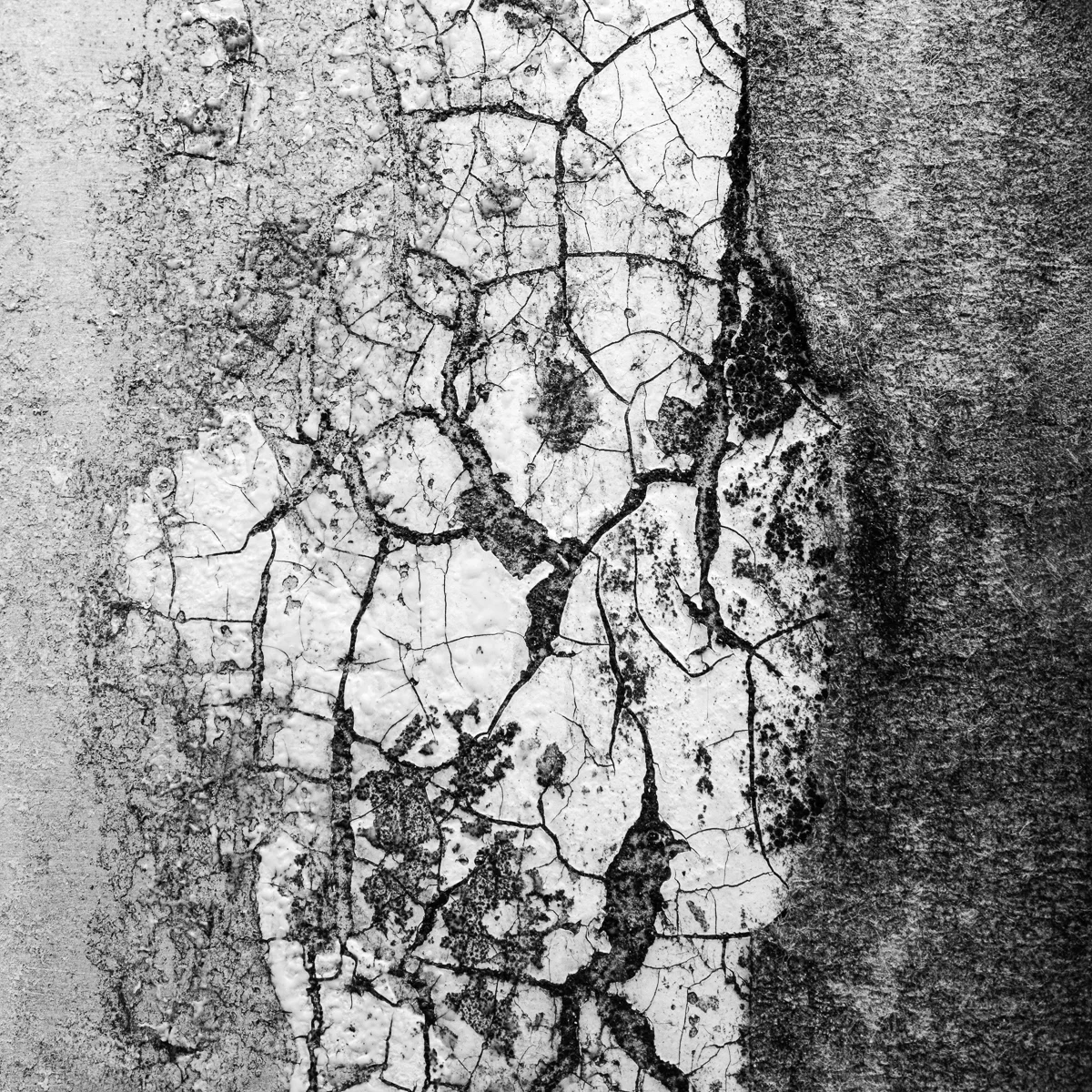 <p>© Alexandra Schmid</p>