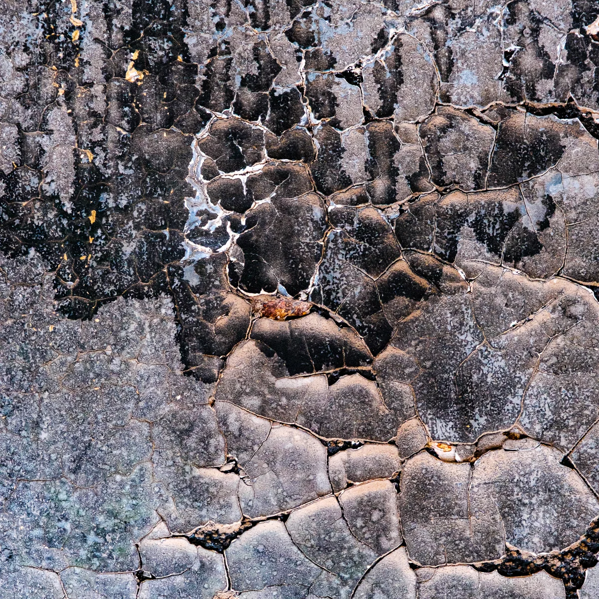 <p>© Alexandra Schmid</p>