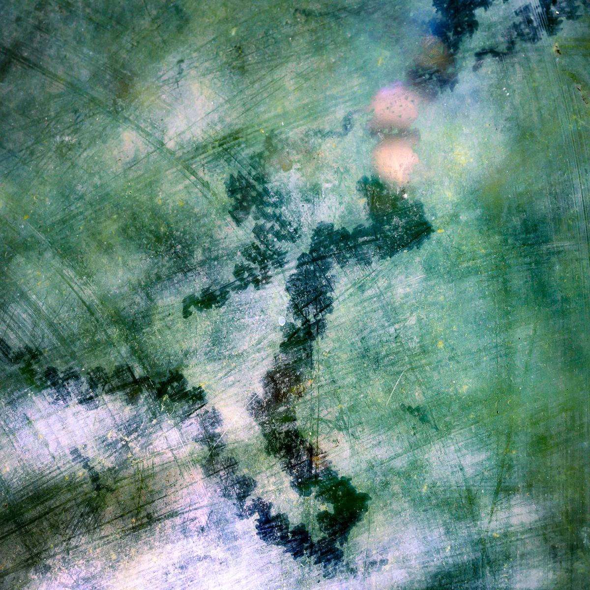 <p>© Alexandra Schmid</p>