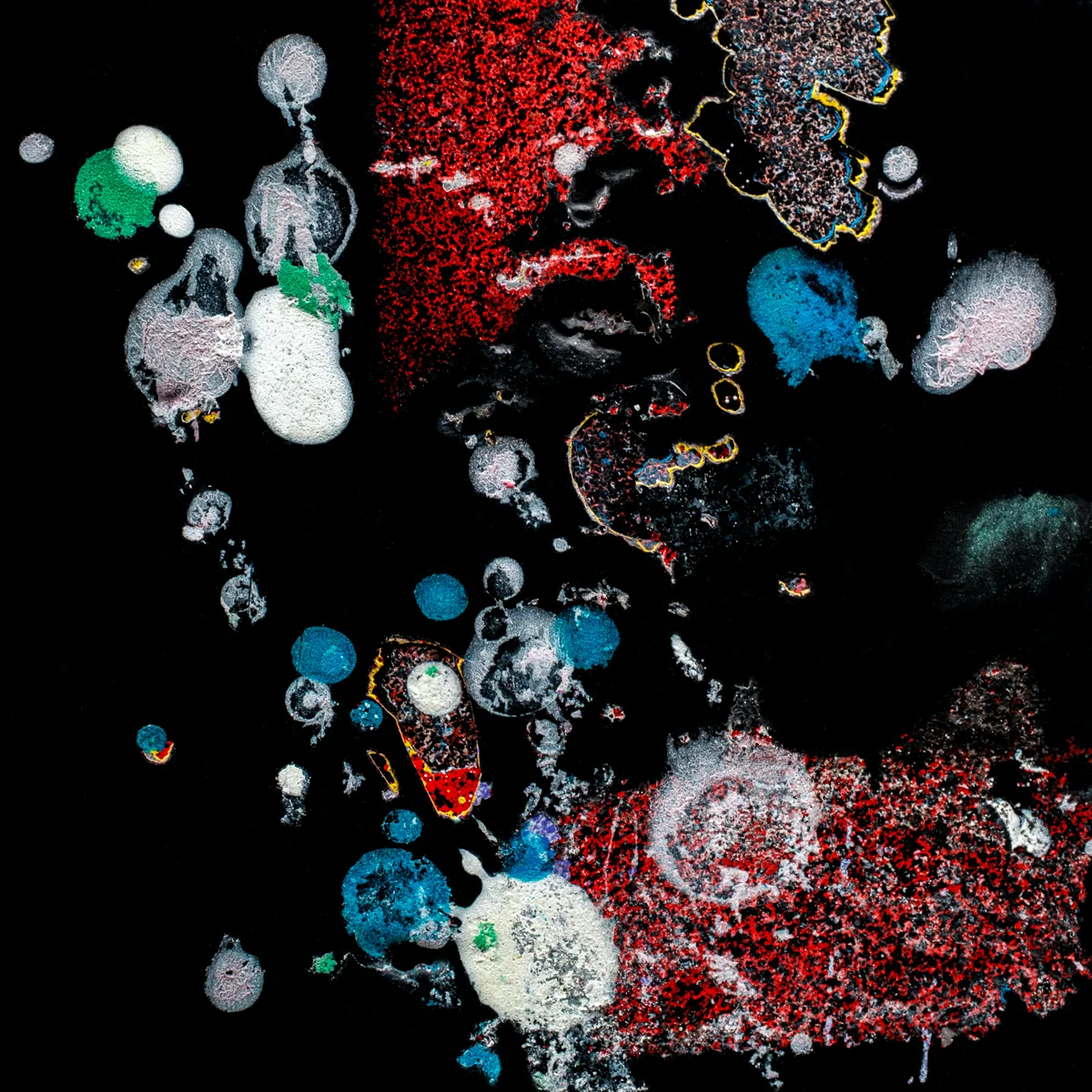 <p>© Alexandra Schmid</p>