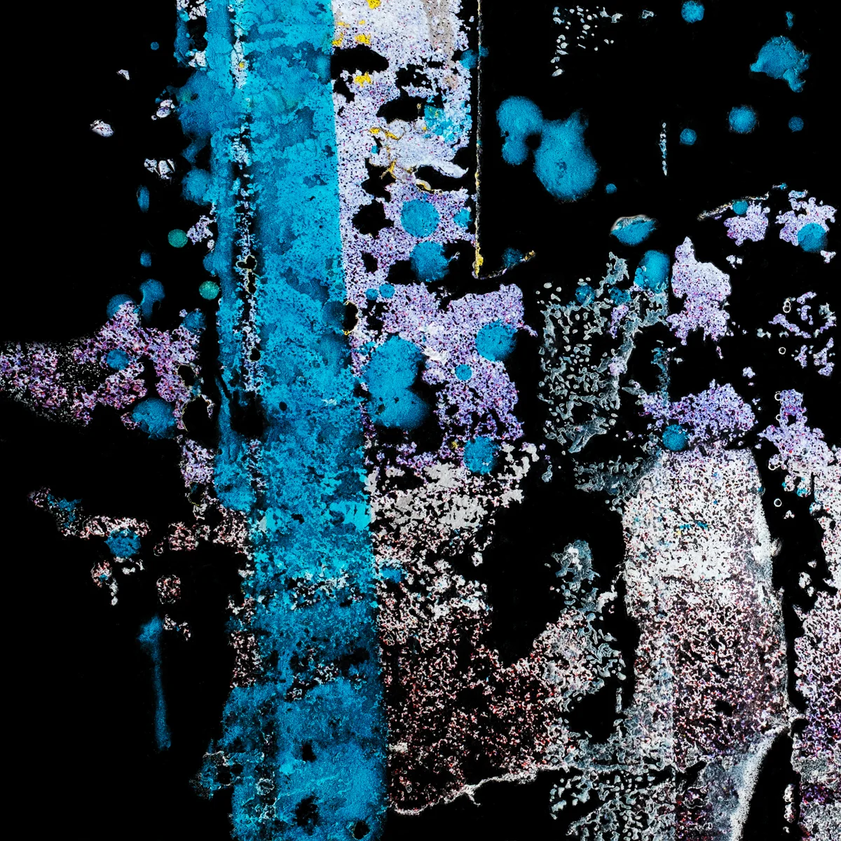 <p>© Alexandra Schmid</p>